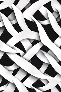黑白交织丝带几何图案