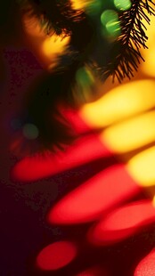 圣诞松枝下的光斑梦幻景