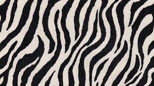 黑白斑马纹图案纹理