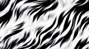 黑白斑马纹动感纹理图案