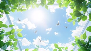 夏日绿荫下的飞鸟与晴空