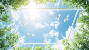 仰望蓝天绿树间的飞鸟