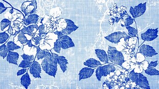 蓝白花卉纹理图案
