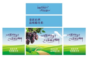 葡萄礼盒