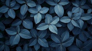 深蓝叶片纹理图案