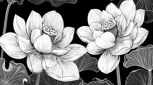 黑白水墨风双荷花图案