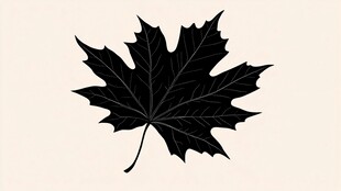 黑色枫叶剪影图案