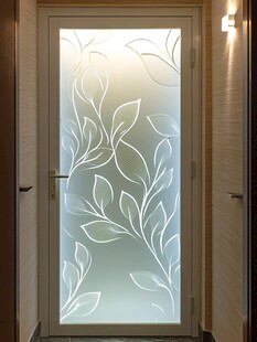 叶纹磨砂玻璃门