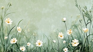 春日雏菊草地清新景象