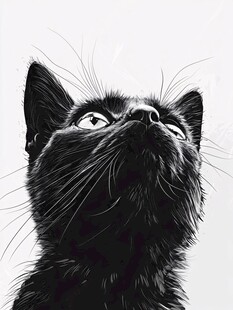 仰望的黑猫