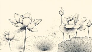 水墨荷花素描图