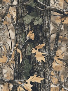树干上的秋叶迷彩图案