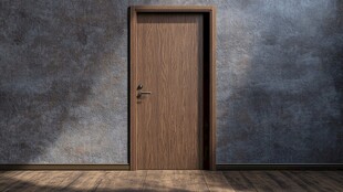 简约室内的木质单扇门