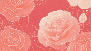 粉色玫瑰花卉浪漫背景图