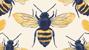 蜜蜂图案 灵动的昆虫艺术