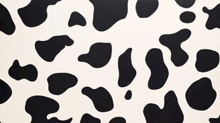 奶牛斑纹图案背景纹理