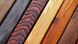 多样木材纹理展示