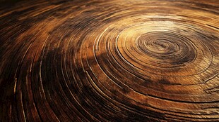 年轮纹理 木质的岁月印记