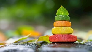 五彩石叠放顶绿叶小景