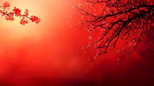 春日红枝映暖阳