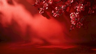 红梅绽放 映耀红色背景