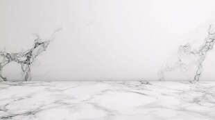 水墨风抽象动物场景展示