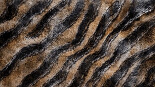 虎皮纹理毛绒面料