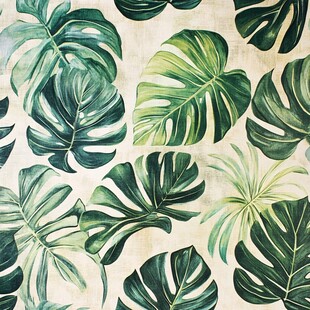 热带龟背竹叶装饰图案