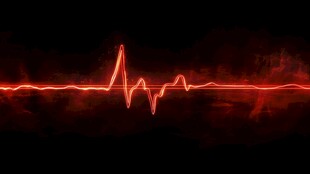 红色动感心跳波形线条