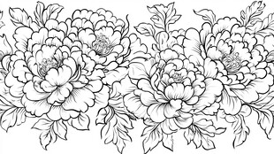 牡丹花卉黑白线稿图案