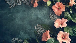 粉色花卉搭配精致蕾丝背景