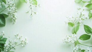 清新绿植花卉背景图