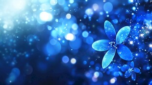 梦幻蓝色花朵光斑背景