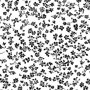 黑白花卉无缝图案纹理