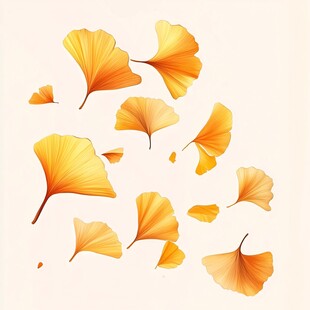 飘落的金黄银杏叶