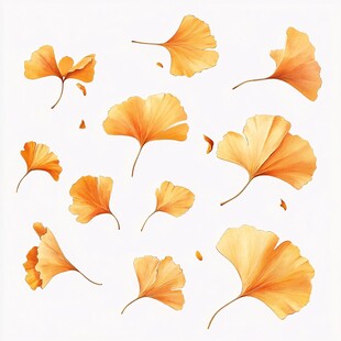 飘落的金黄银杏叶