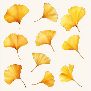 金黄银杏叶插画素材集合