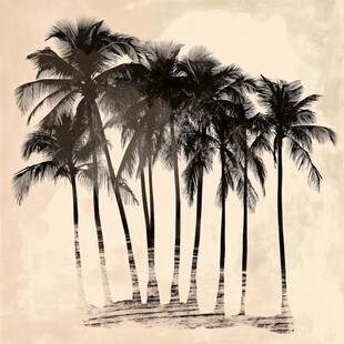 复古风下的棕榈树剪影