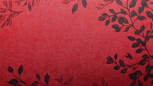 红色底纹配黑色枝叶图案