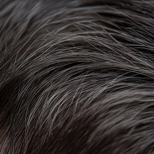 乌黑顺滑的发丝细节特写