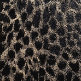 豹纹动物皮毛纹理特写