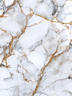 奢雅金纹大理石纹理