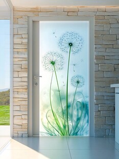蒲公英图案玻璃门装饰