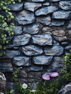 石墙旁的花草景致