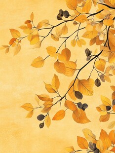 秋日枝头黄叶景致