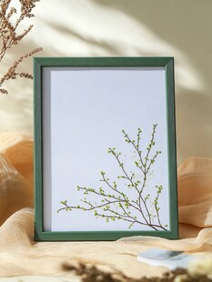 绿框春枝画框静物展示