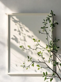 白框映花枝 光影成趣