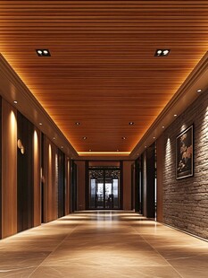 豪华现代风走廊空间设计