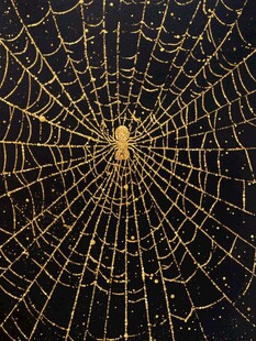 金色蛛网与中心蜘蛛特写