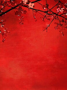 红梅映红墙 中式唯美意境